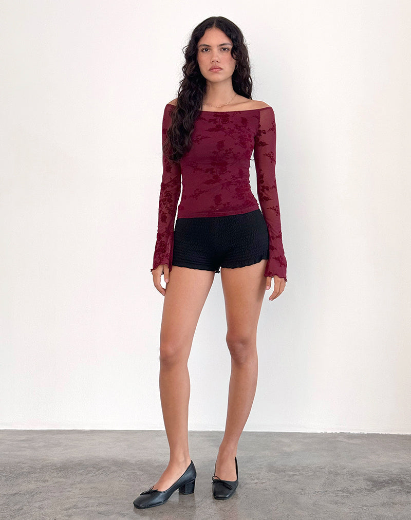 Top Lutana in fiore botanico marrone