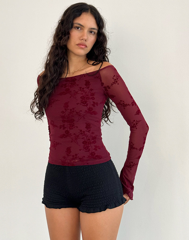 Top Lutana in fiore botanico marrone