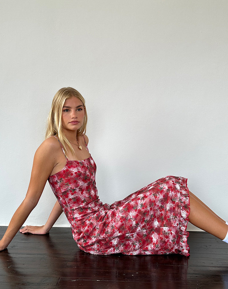 Immagine di Nawari Midi Dress in pizzo stampato Cherry
