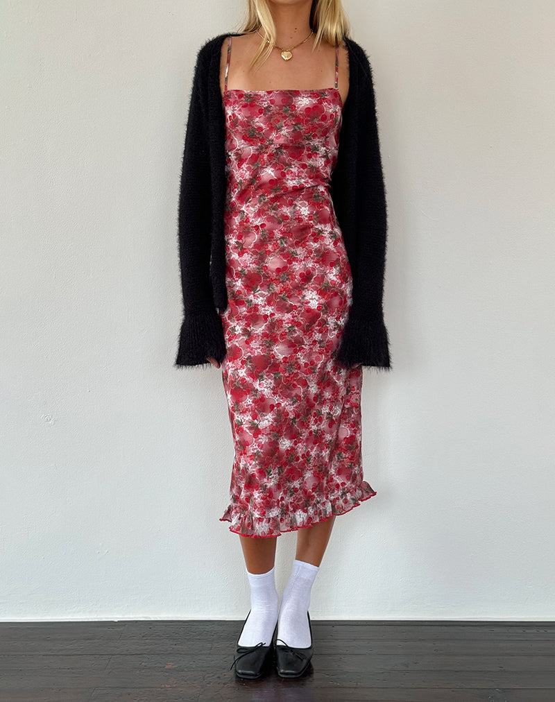 Immagine di Nawari Midi Dress in pizzo stampato Cherry