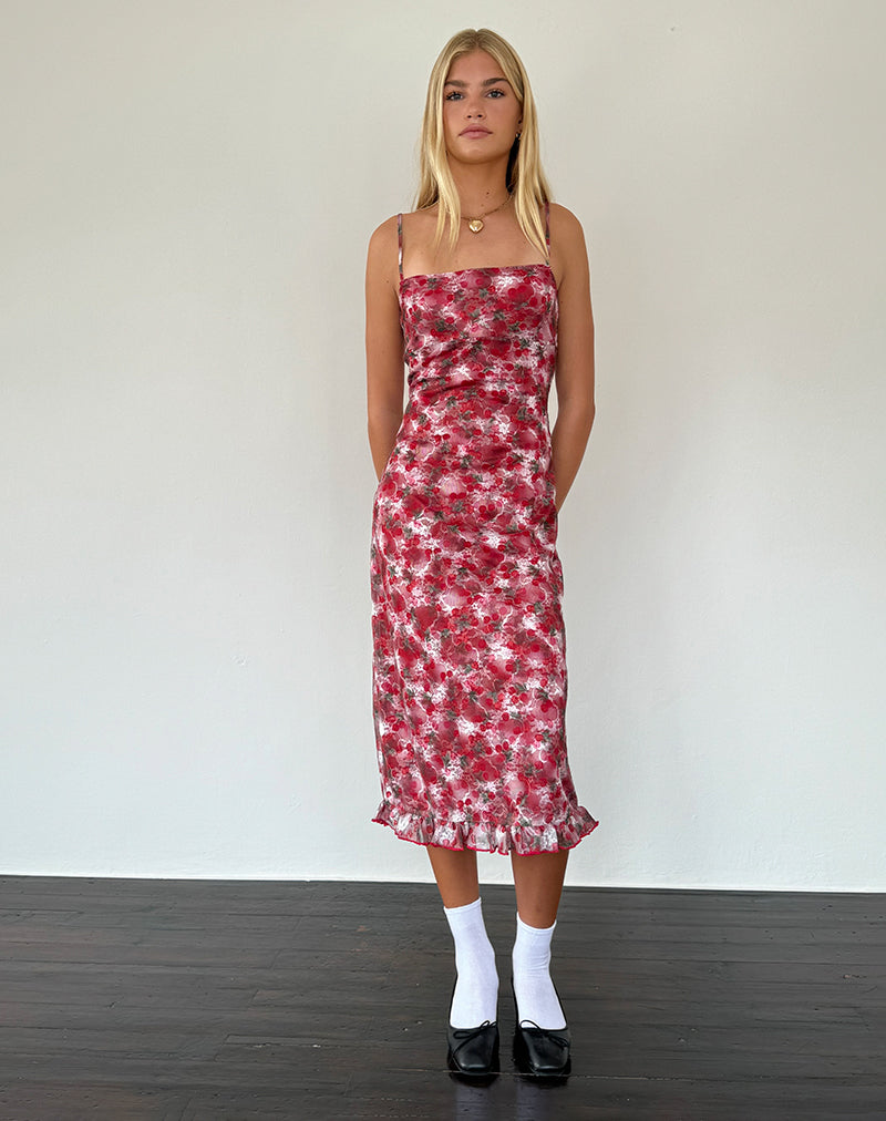 Immagine di Nawari Midi Dress in pizzo stampato Cherry