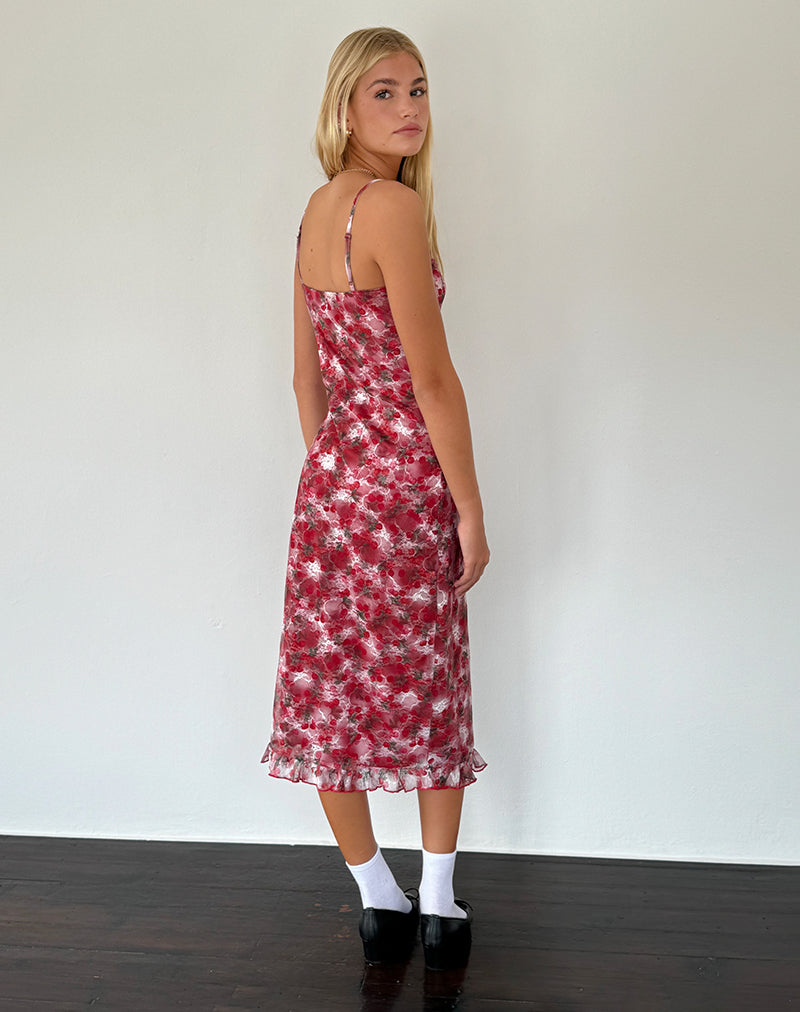 Immagine di Nawari Midi Dress in pizzo stampato Cherry