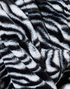 Zebra in bianco e nero
