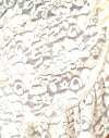 Pizzo rosa avorio