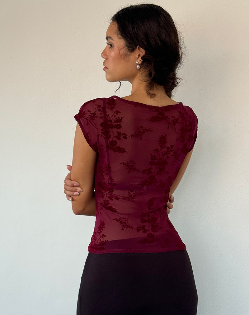 Immagine di Nova Top in fiore botanico marrone