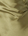 Oliva satinata