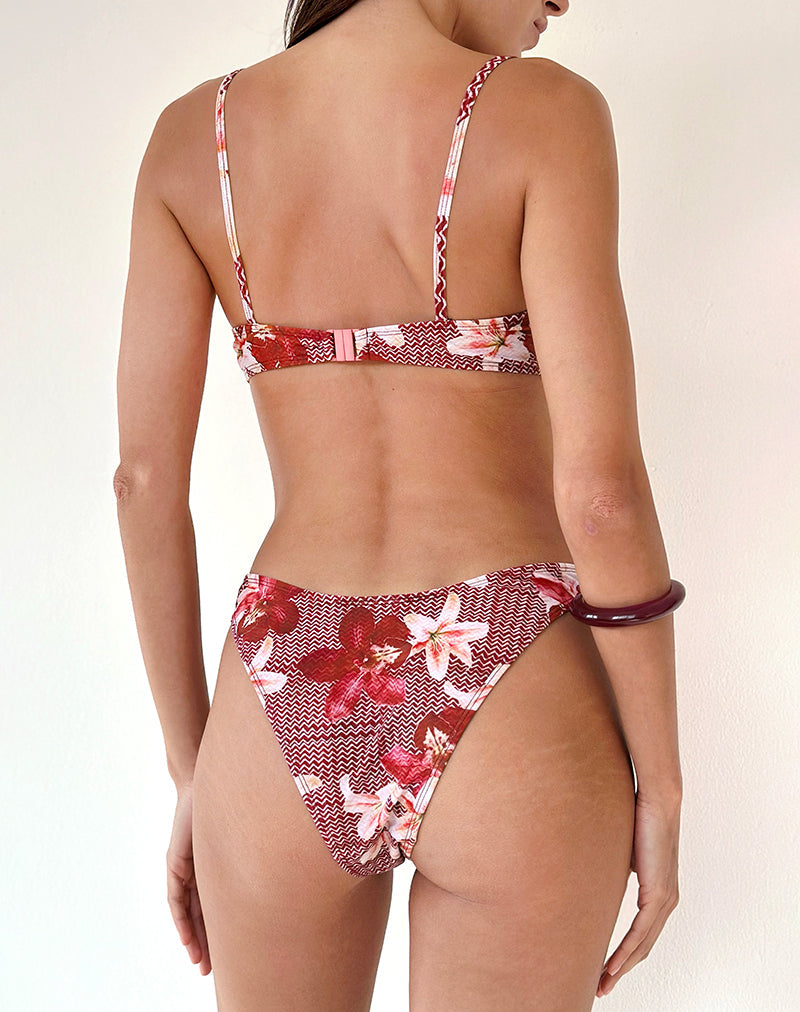 Immagine di Pali Bikini Top in Zig Zag Lily Borgogna