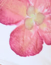 Avorio con orchidea rosa