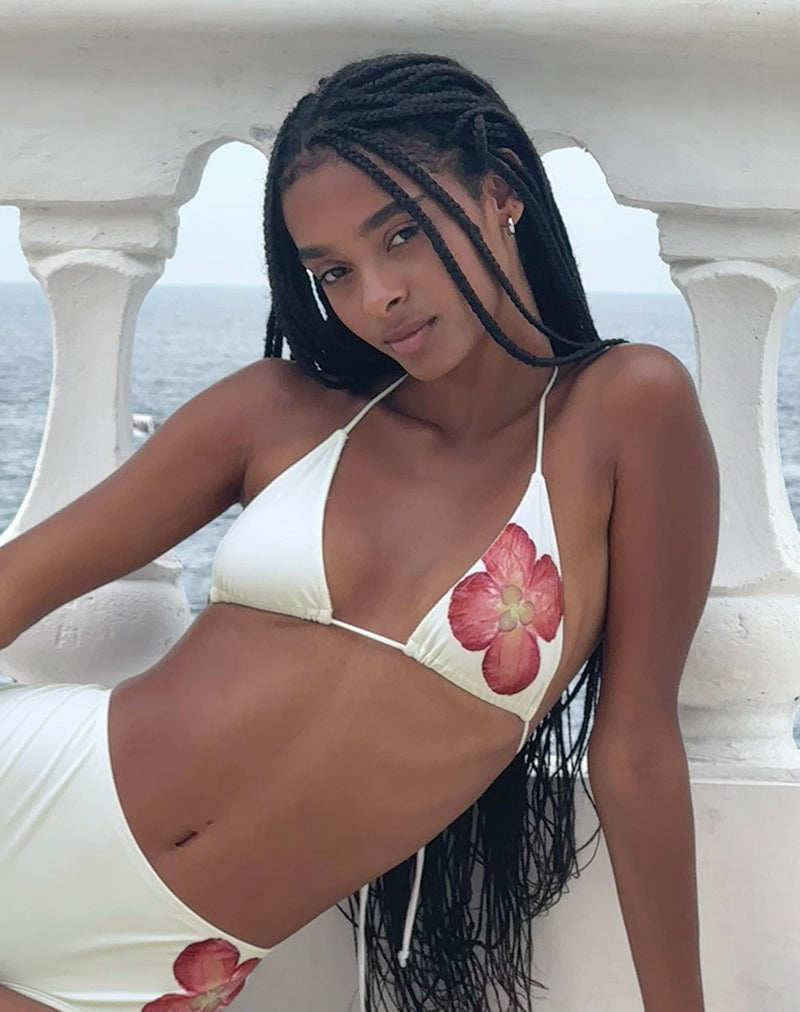 Immagine di Pami Bikini Top in Avorio con Orchidea Rosa