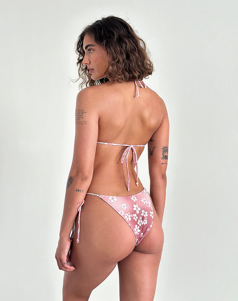 Immagine di Lentra Bikini Bottom in Hibiscus Floral