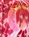  Rosa orchidea