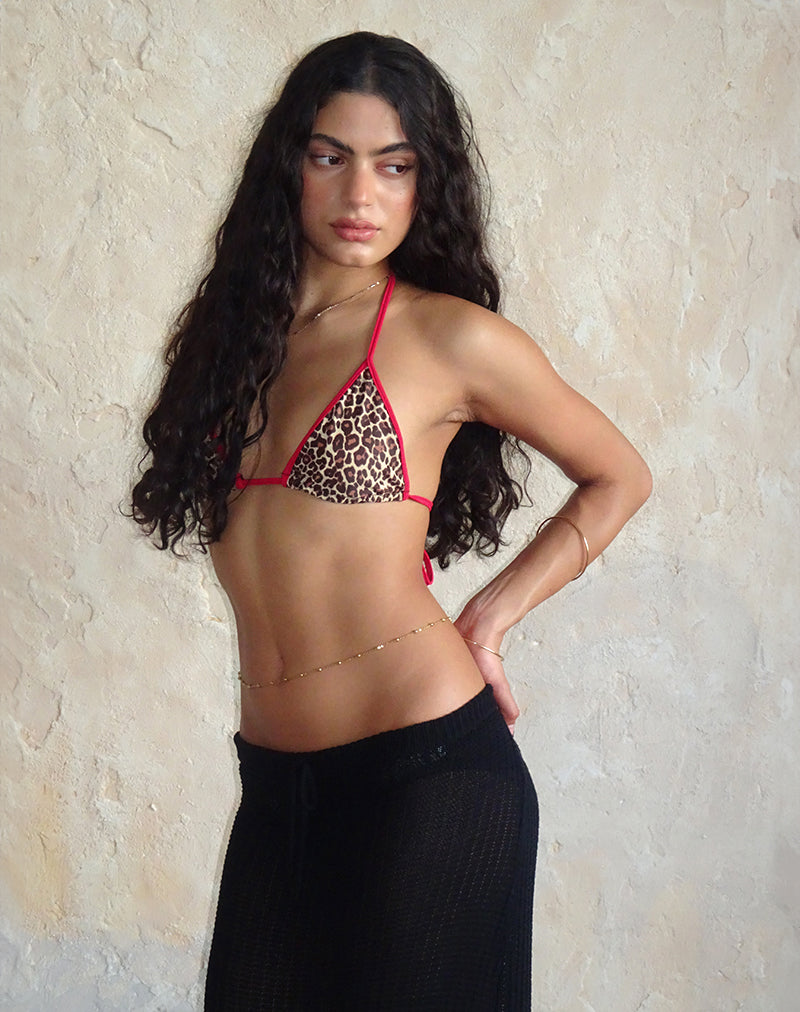 Immagine di Pami Bikini Top in Rar Leopard con lacci a contrasto