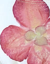 Avorio con orchidea rosa