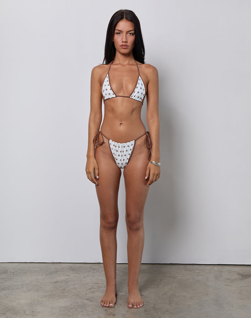 Immagine di Pami Bikini Top con stampa a stelle bianche e marroni e bordatura a contrasto