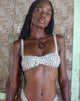 Immagine di Panave Bikini Top in Gingham Floreale Marrone