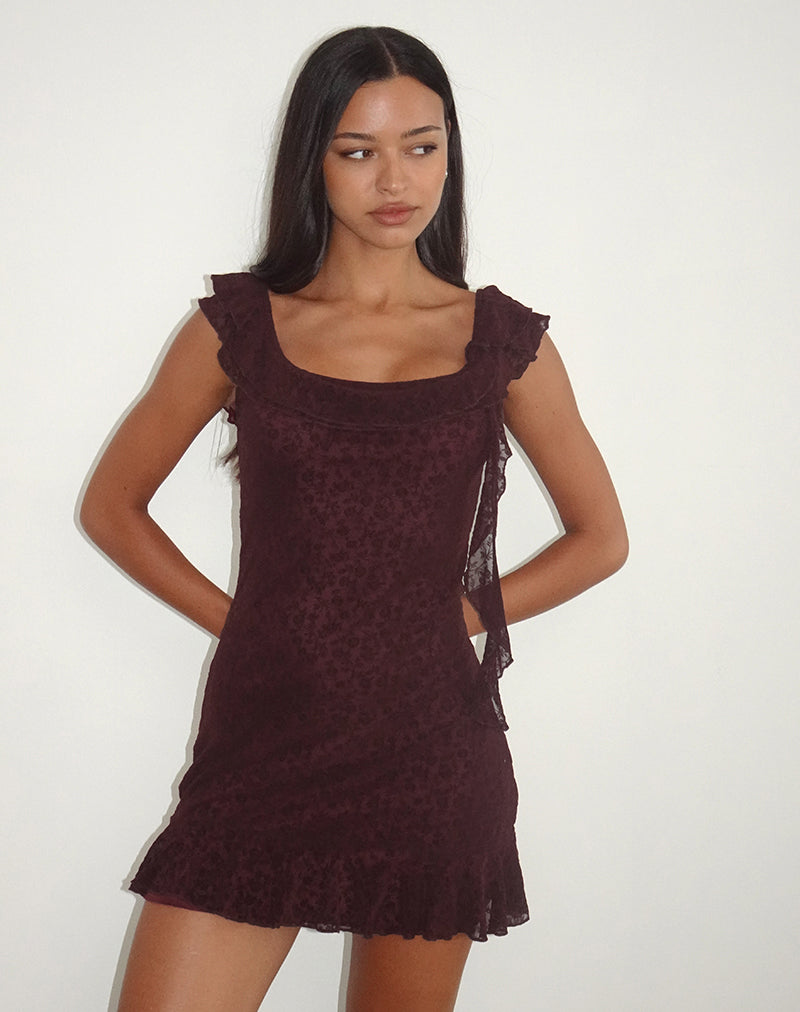 Immagine di Rolita Mini Abito in Ditsy Flock Burnt Maroon