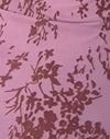  Malva botanico