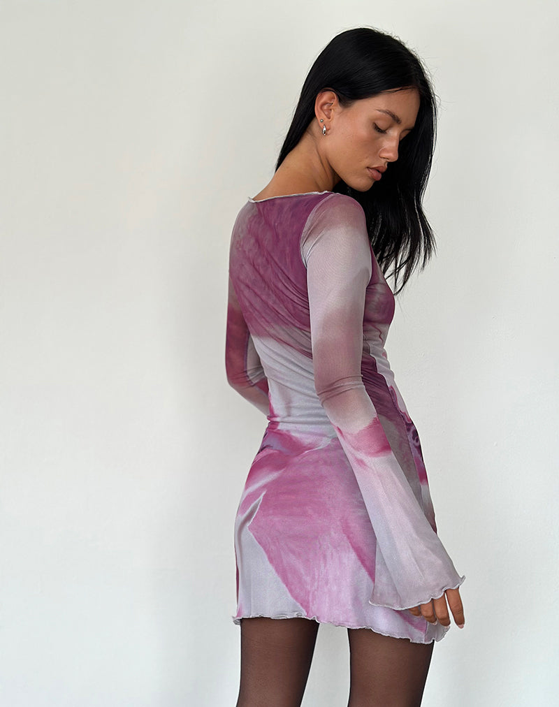 Immagine di Sevila Mini Dress in Anatomia della Natura Rosa