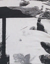 Collage di foto grigio
