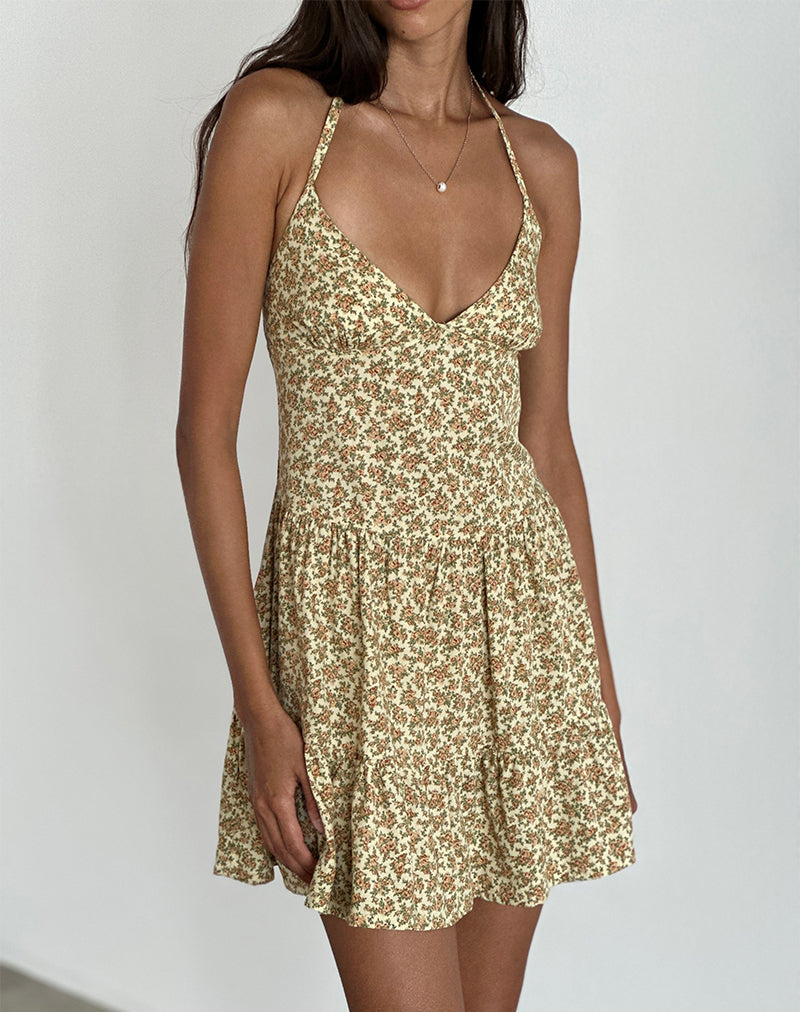 Immagine di Siskana Mini Dress in Washed Ditsy