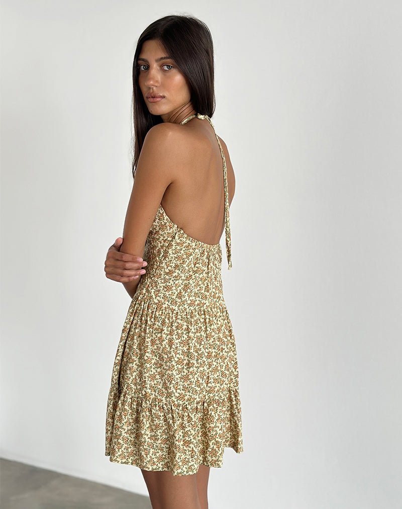Immagine di Siskana Mini Dress in Washed Ditsy