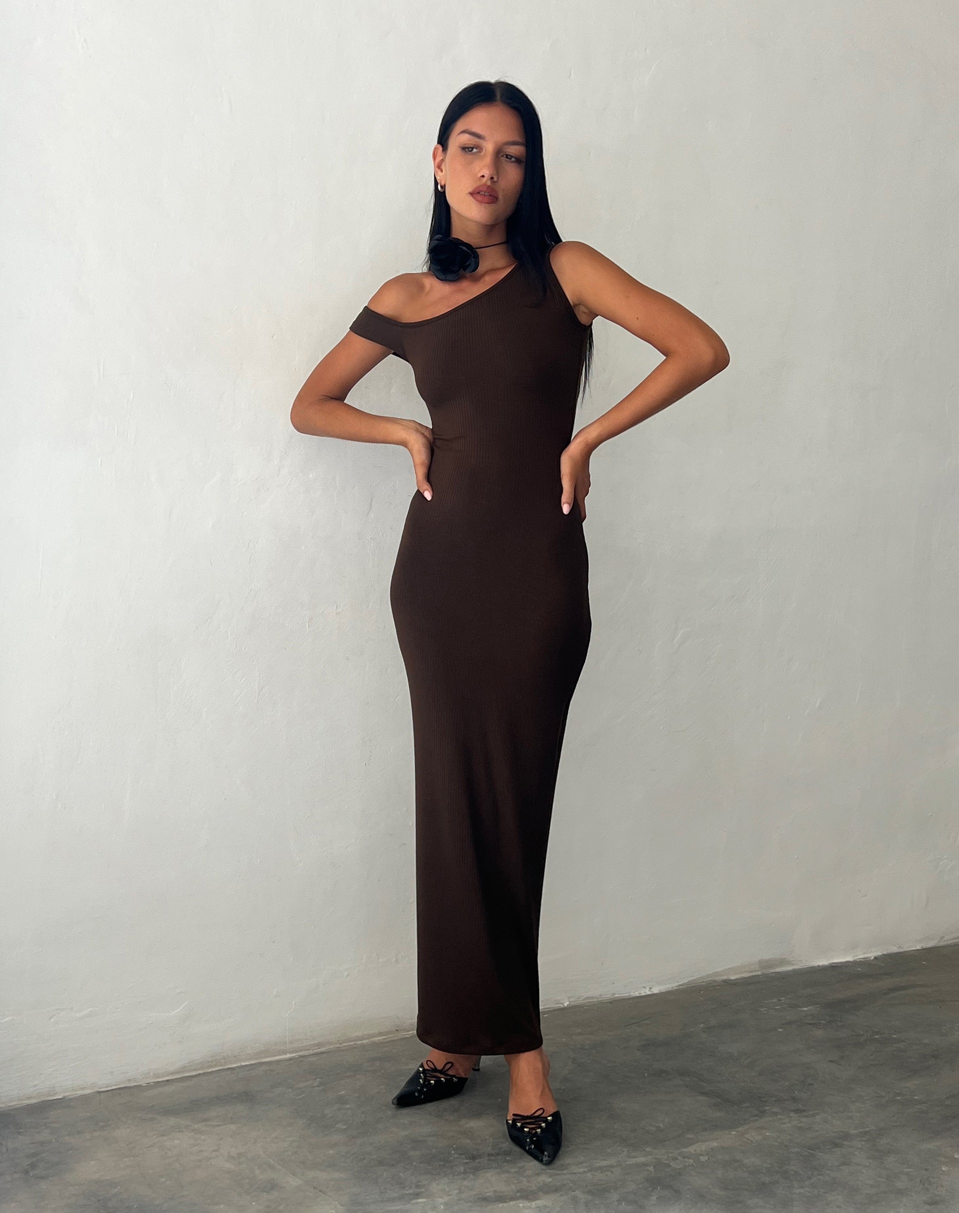 Immagine di Tehyun Maxi Dress in Brown Rib