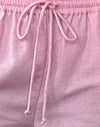 fenicottero rosa