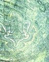 Verde astratto Paisley