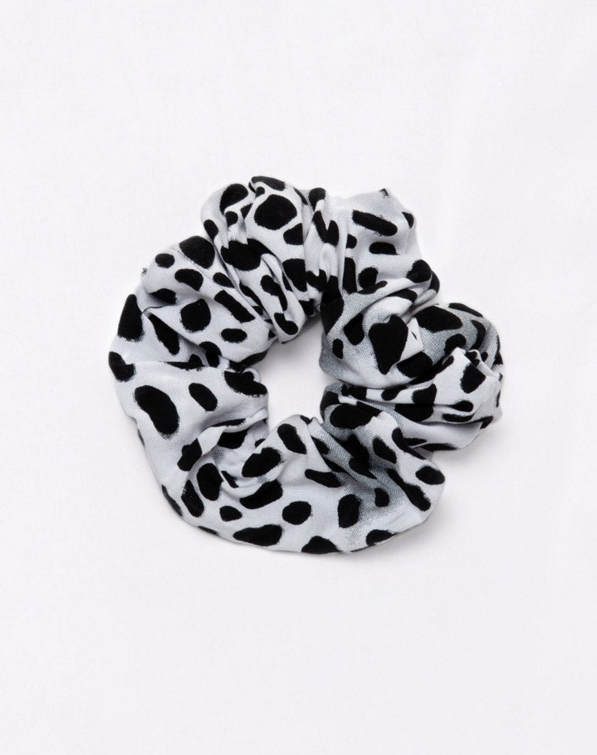 Immagine di Scrunchie in Dalmata