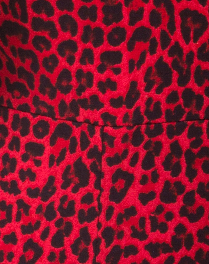 Immagine di Acro Unitard in Animal Colorato