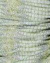 Croc Lime