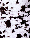 Mini mucca in bianco e nero