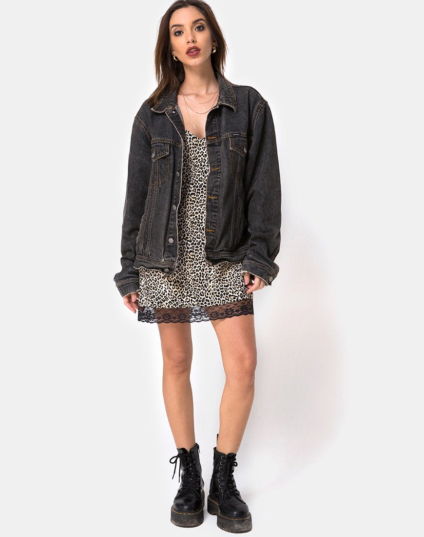 Immagine di Balace Slip Dress in leopardo raro con pizzo nero
