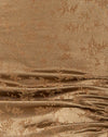  Olivo botanico