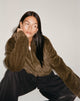 Immagine della giacca Banowa Zip Up in Olive