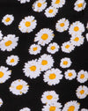 MiniDaisyNero