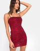 Immagine di Cinelle Bodycon Dress in Animal Colorato