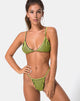 Immagine di Clova Top bikini a righe sottili nero Citrino
