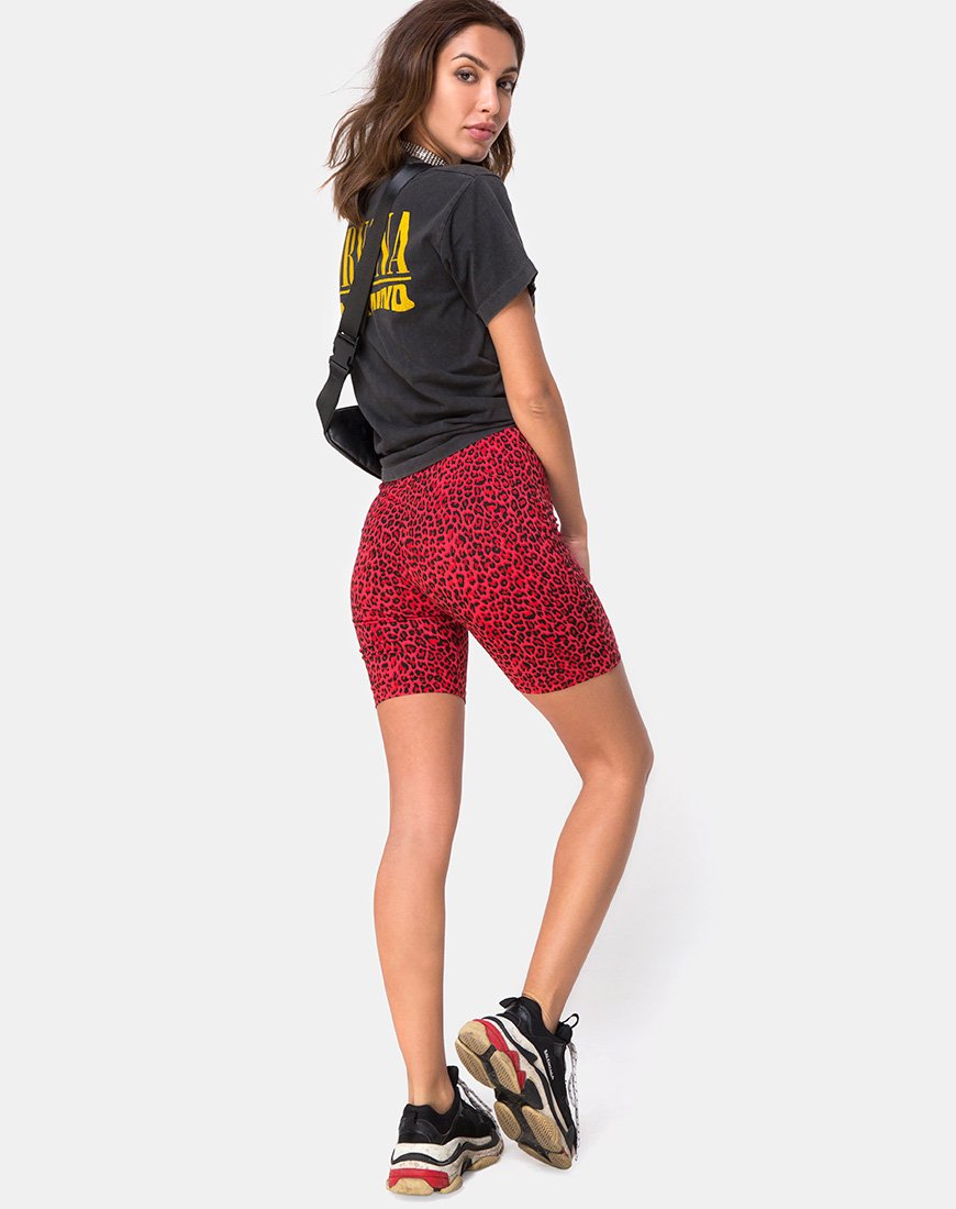Pantaloncini da ciclista in animali colorati