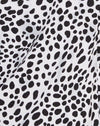 Dalmata