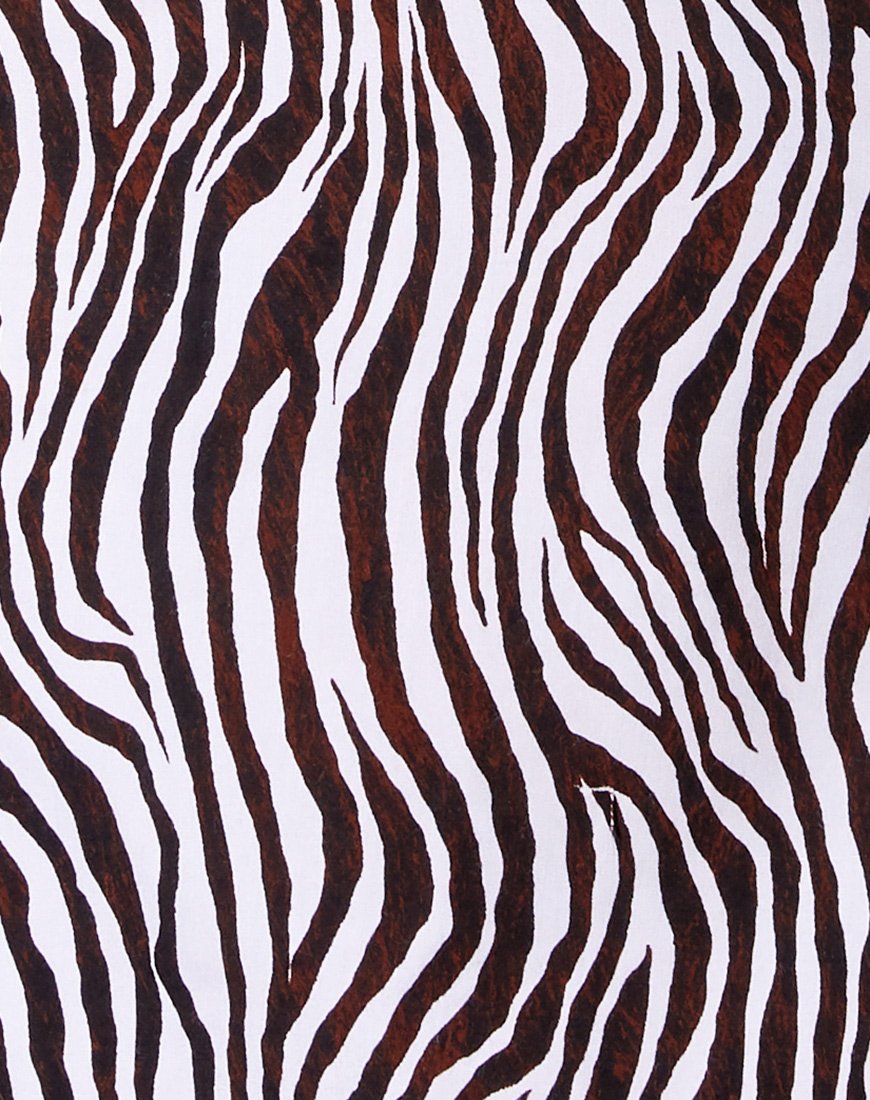 Immagine di Datista Slip Dress in Zebra Vertical