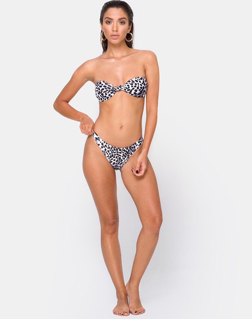 Fondo bikini Dita in dalmata