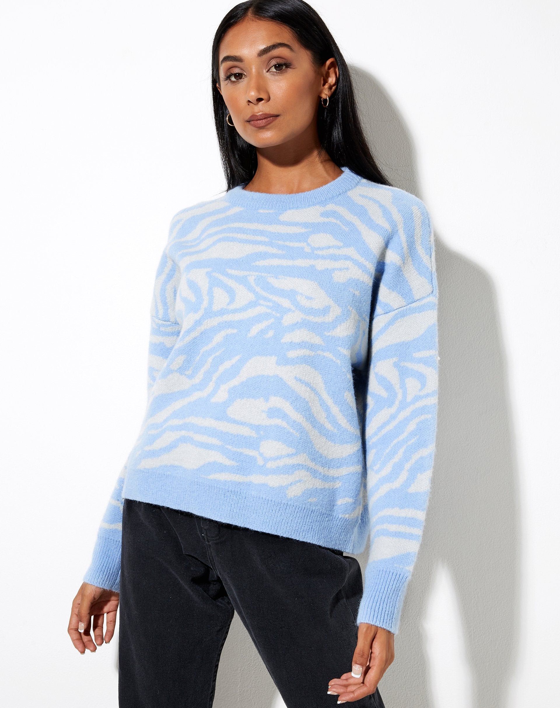 Immagine di Eleni Jumper in Zebra Blu Grigio