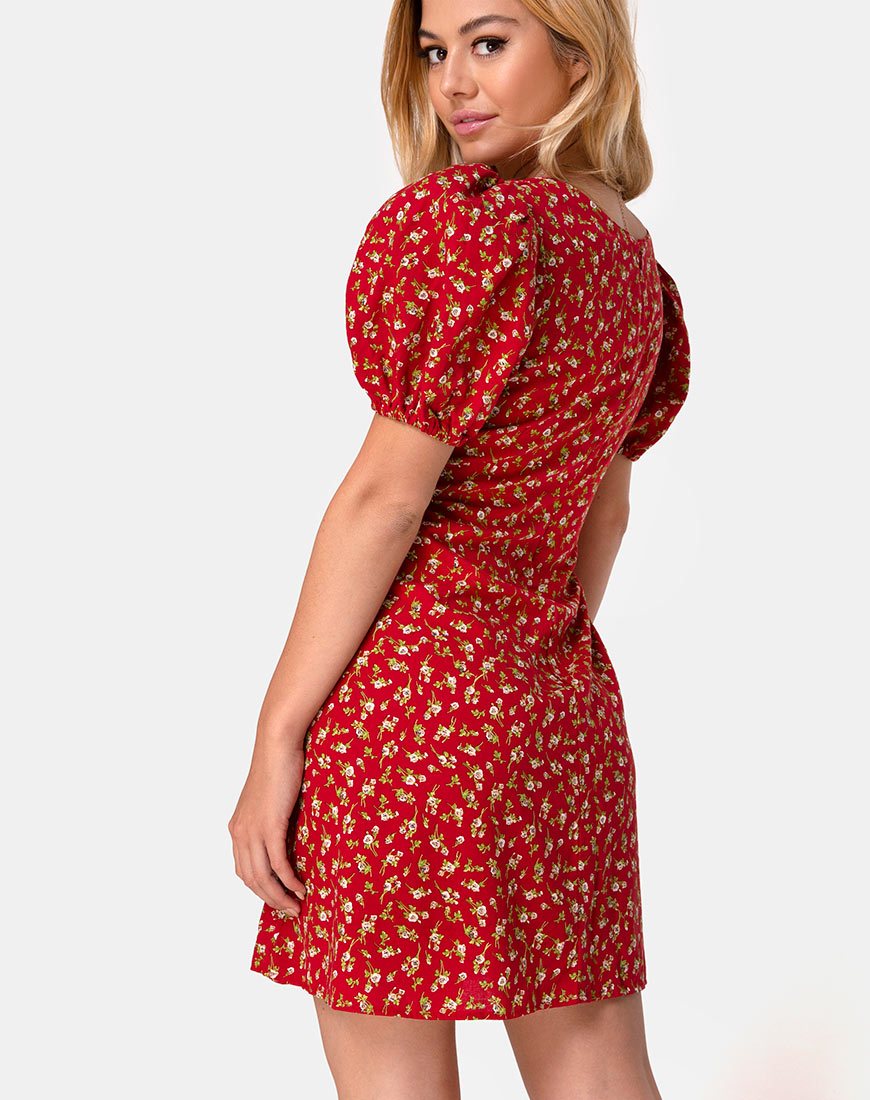 Immagine di Elfira Dress in Falling for You Rosso Floreale