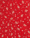 Paisley Fun Red