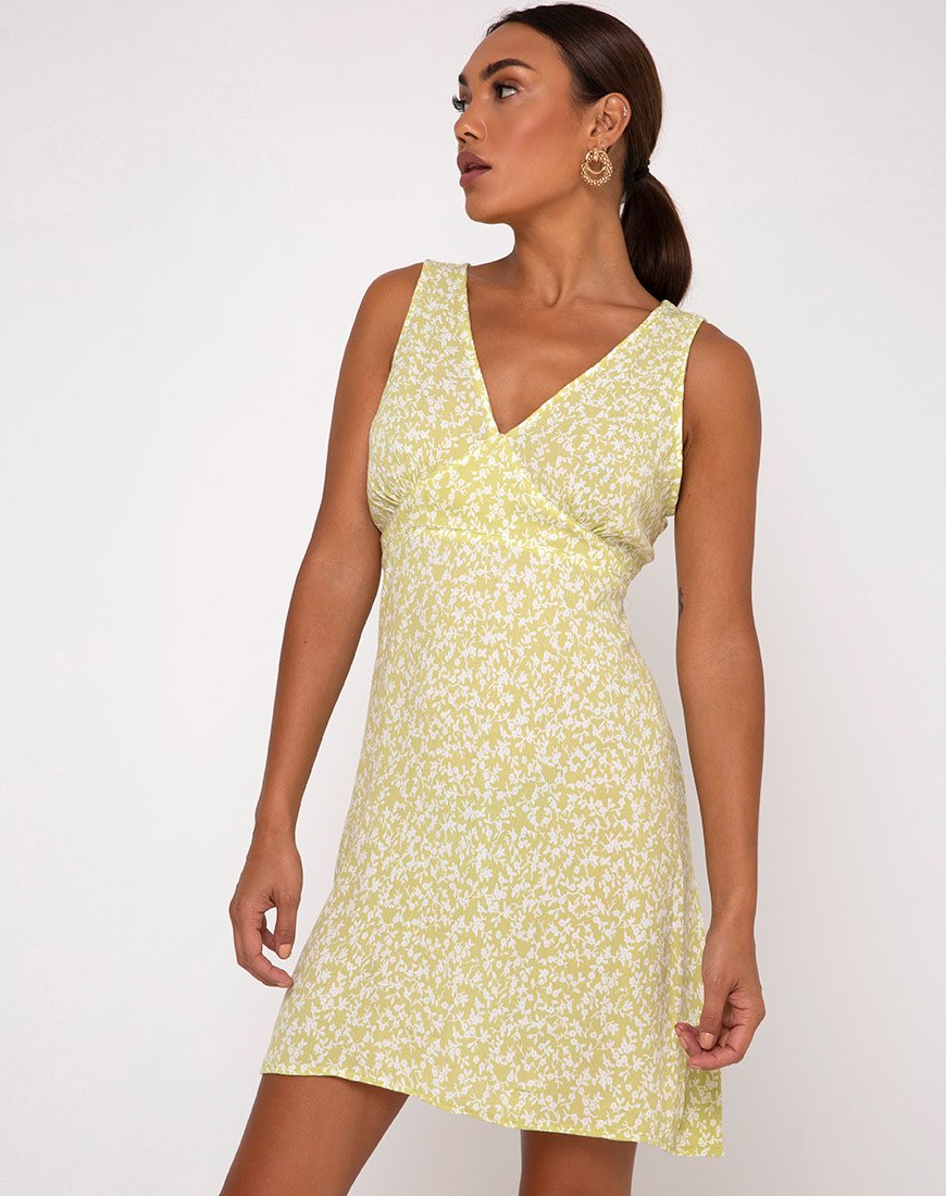 Immagine di Enslee Slip Dress in Schiuma di Menta Botanica Rugosa