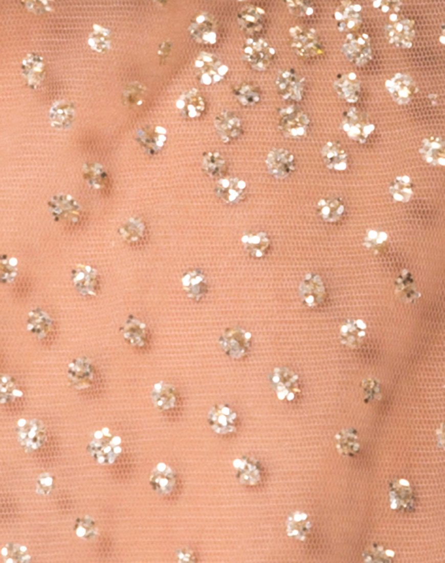 Immagine di Ether Top a maniche lunghe in glitter oro su rete Tan