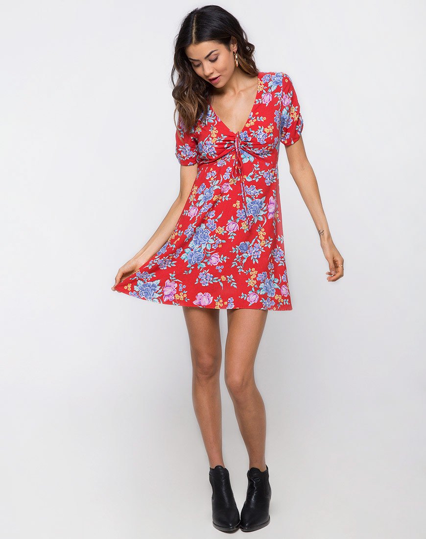 Immagine di Giska Tea Dress in Vintage Fleur