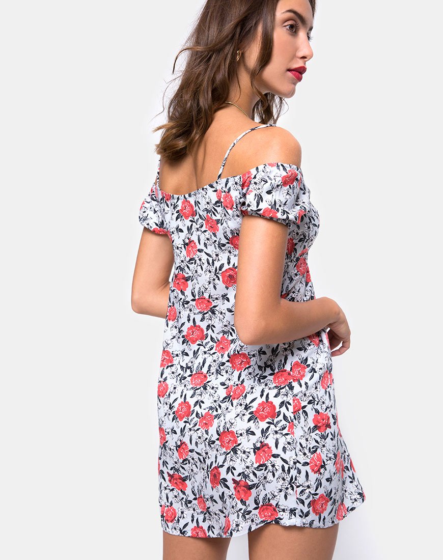 Immagine di Karoo Mini Dress in Blooming Rose