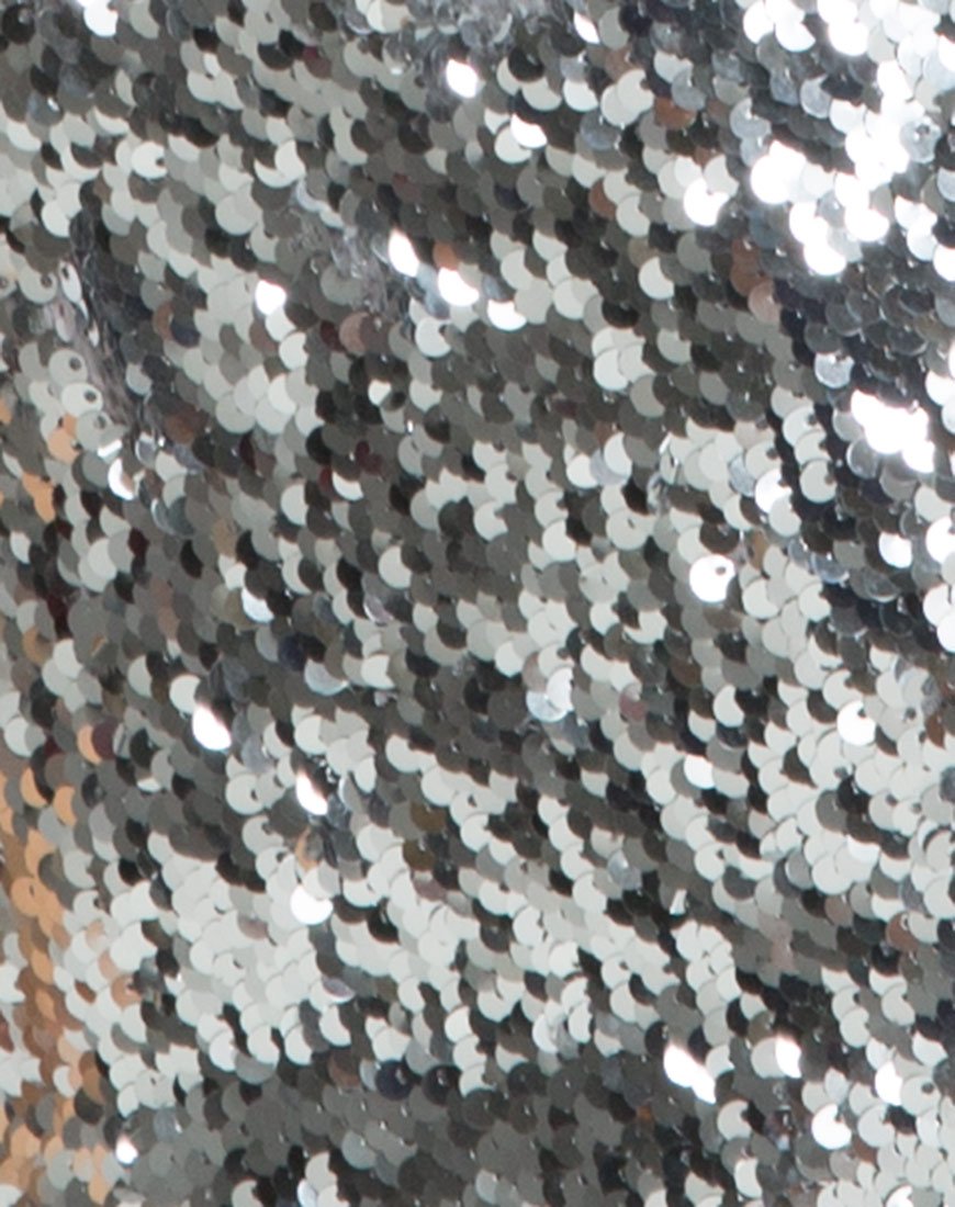 Immagine dell'abito Hedi in scaglie di pesce argento